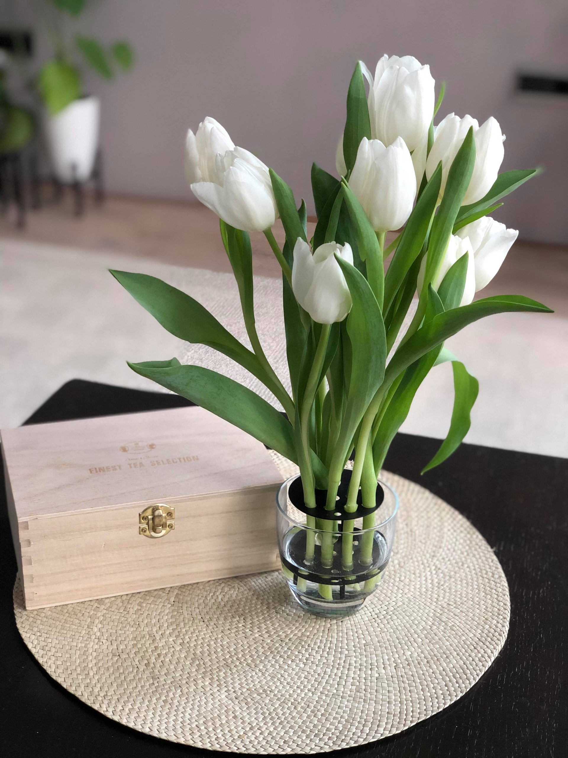 CÁCH CHĂM SÓC ĐỂ CÓ ĐƯỢC 1 BÌNH HOA TULIP BỀN ĐẸP